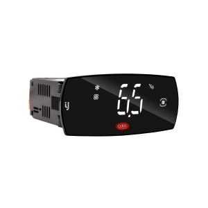 CAREL IJWPSA4B07S0517